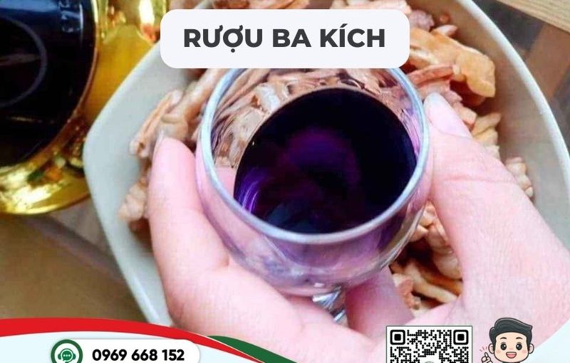 rượu Ba kích - Bài thuốc đông y trị xuất tinh sớm